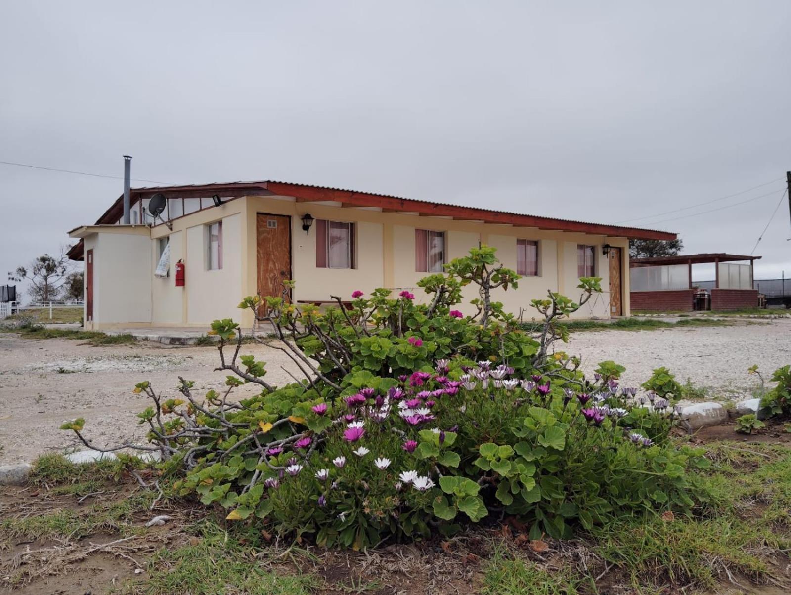Aparthotel Santa Maria Punta de Choros Cameră foto